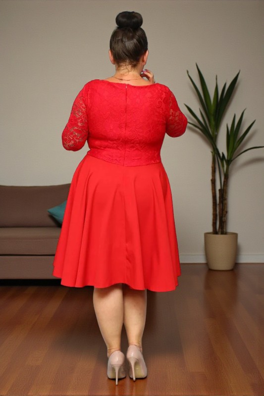 Sukienka rozkloszowana plus size z koronką  S1096  ( r 48-60) 